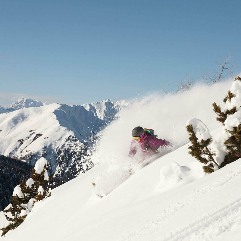 Freeriden - Skizentrum Sillian Hochpustertal Der Pulverschnee staubt dem Freerider ins Gesicht, der zwischen zwei aus dem Tierschnee ragenden Zirben ins Tal fährt. Im Hintergrund verschneite Berge an einem sonnigen Wintertag.
