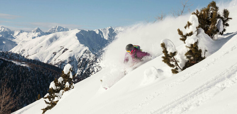 Freeriden - Skizentrum Sillian Hochpustertal Der Pulverschnee staubt dem Freerider ins Gesicht, der zwischen zwei aus dem Tierschnee ragenden Zirben ins Tal fährt. Im Hintergrund verschneite Berge an einem sonnigen Wintertag.