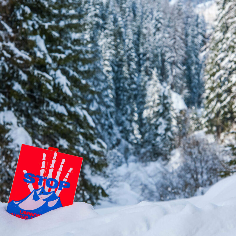 Lawinengefahr Eine rot, weiß, blaue Lawinengefahrtafel in einem frisch verschneitem Wald.