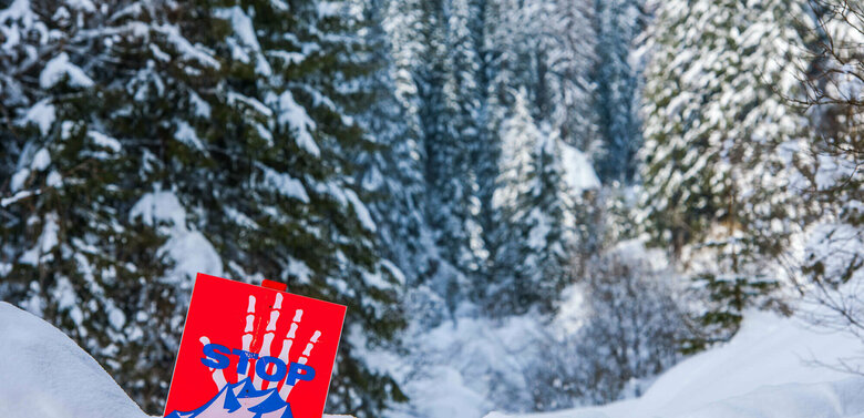 Lawinengefahr Eine rot, weiß, blaue Lawinengefahrtafel in einem frisch verschneitem Wald.