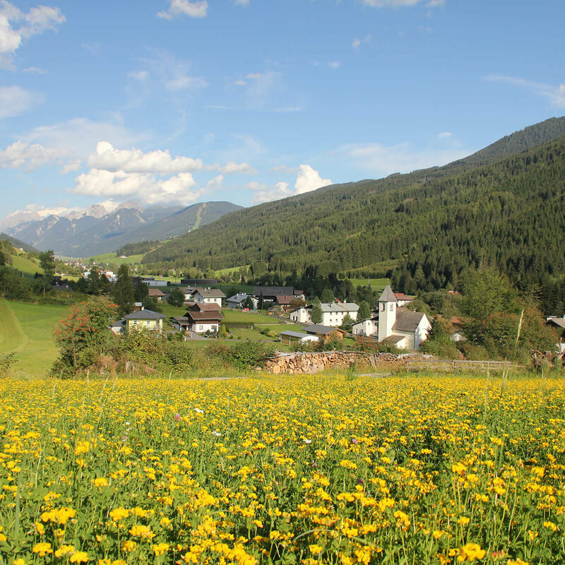 Arnbach Sillian Zu sehen ist die Ortschaft Arnbach mit einer blühenden Wiese im Vordergrund.