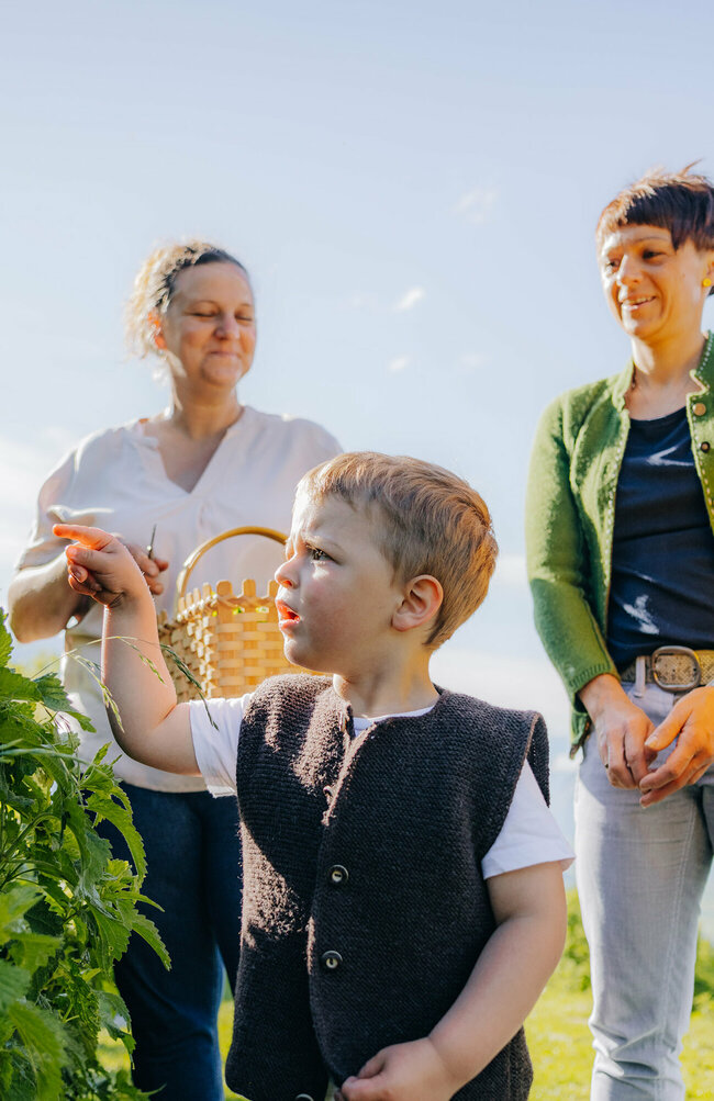 Brennnessel pflücken Brennnessel pflücken