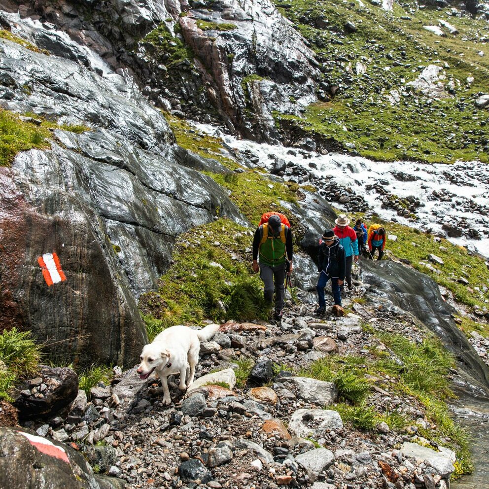 Wandern in Richtung Umbalkee Wandern in Richtung Umbalkee