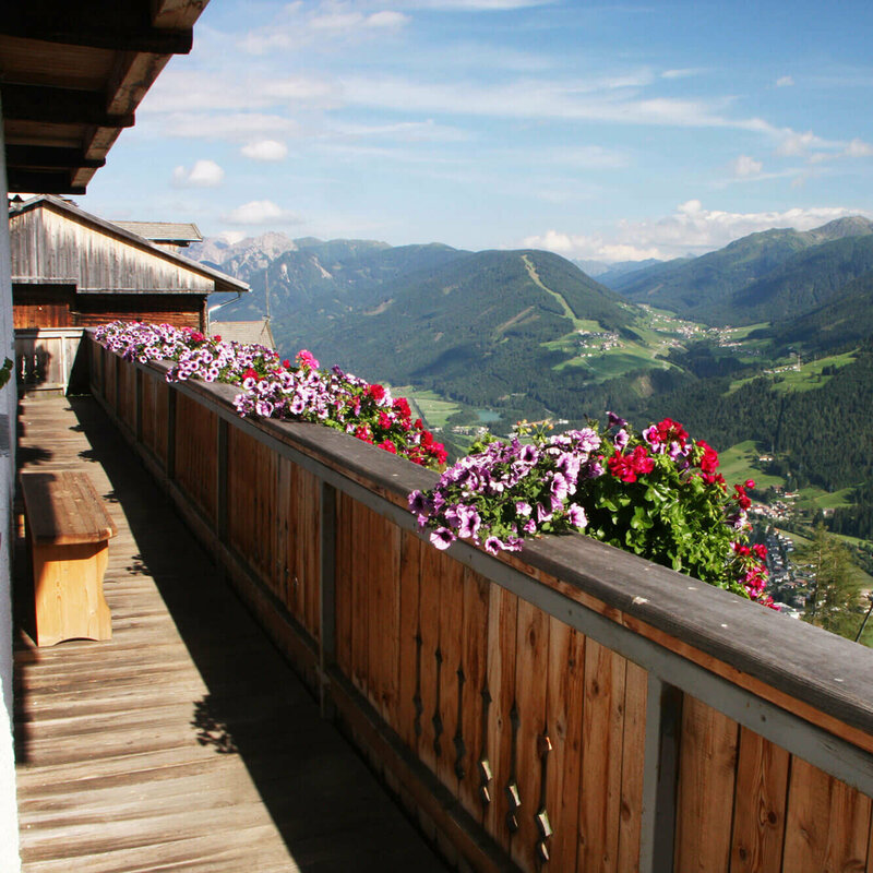 Ausblick Balkon Ausblick vom Balkon mit bunten Blumen auf ein Tal mit Bergkulisse.