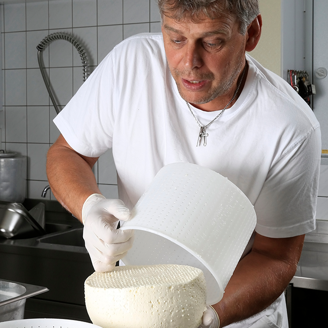 Am Oswalderhof in Obertilliach wird gezezigt, wie Käse am Hof selbst hergestellt wird.