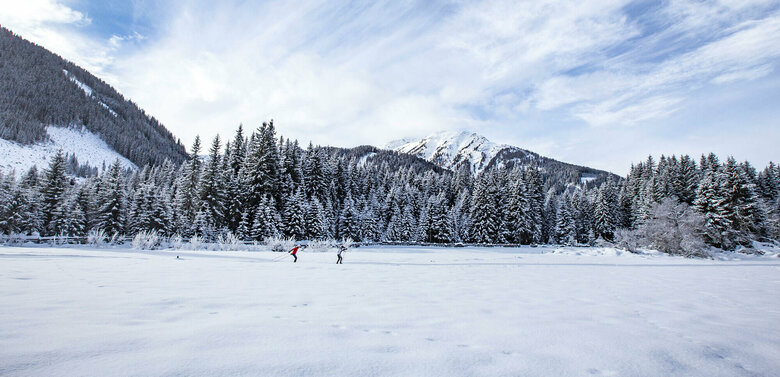 Langlaufgenuss auf der Grenzlandloipe Zwei Langläufer:innen auf der Grenzlandloipe mit einem frisch verschneiten Wald im Hintergrund