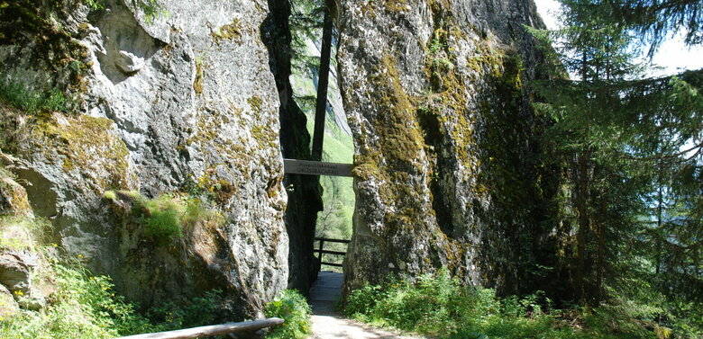 Wasserschaupfad Umbalfälle Eingang zu einer kleinen Höhle, im Vordergrund sieht man eine kleine Holzbank sowie Lärchenbäume im Sommerkleid