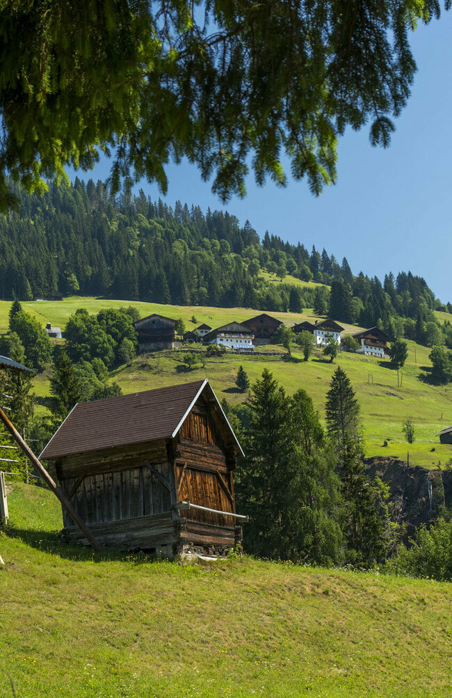 Höfe Trail, Blickrichtung Guggenberg Höfe Trail, Blickrichtung Guggenberg