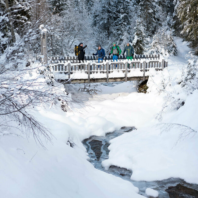 Ranger Winterzauber Defreggental Ein Ranger zeigt drei Personen den Winterzauber im Defreggental. Sie stehen auf einer verschneiten Brücke über einem kleinen Bach.