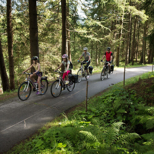 Drauradweg Radfahrer fahren auf dem asphaltierten Drauradweg durch den Wald.