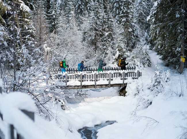 Ranger Winterzauber Defreggental 4 Personen auf Schneeschuhwanderung gehen über eine verschneite Brücke über einen Bach, inmitten von schneebedeckten Nadelbäumen.