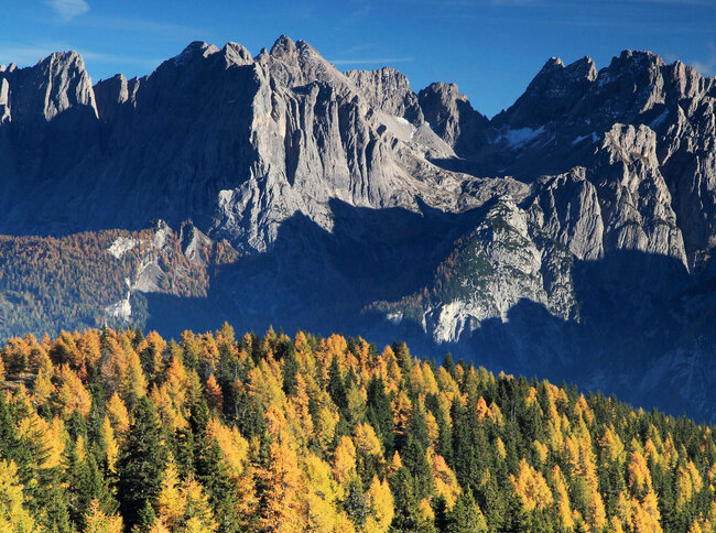 Hochstein Verfärbter Wald in gelb, orange und grün, dahinter erheben sich die Berge in die klare Herbstluft.
