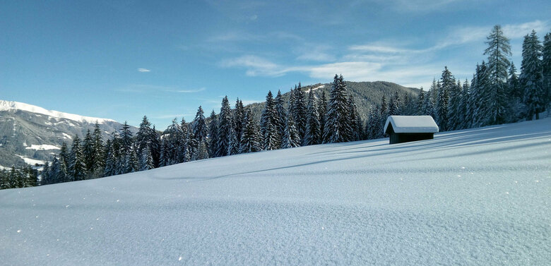 winterwandern-kartitsch Neuschnee beim Winterwandern in Kartitsch