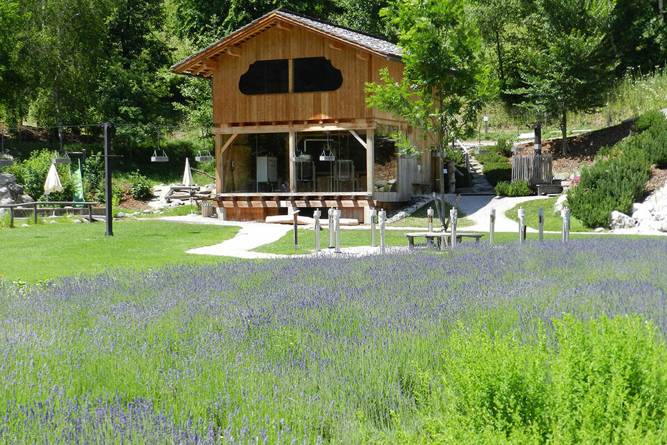 Vitalpinum Die Ölbrennerei im Wohlfühlgarten Vitalpinum in Thal mit dem sogenannten ‚Latschenlift‘. Im Vordergrund erstreckt sich ein großes Lavendelfeld.
