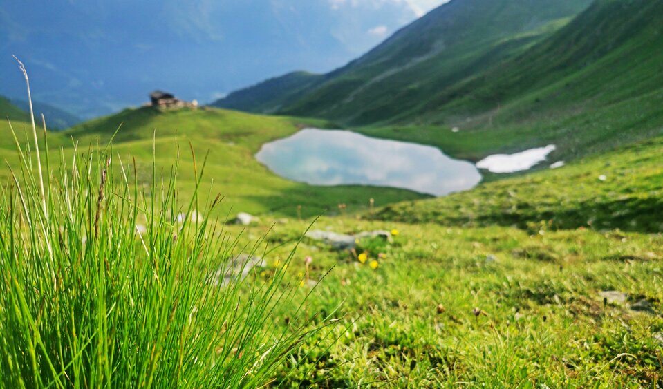 Zupalsee ...der feuchte Tau bei Wanderungen