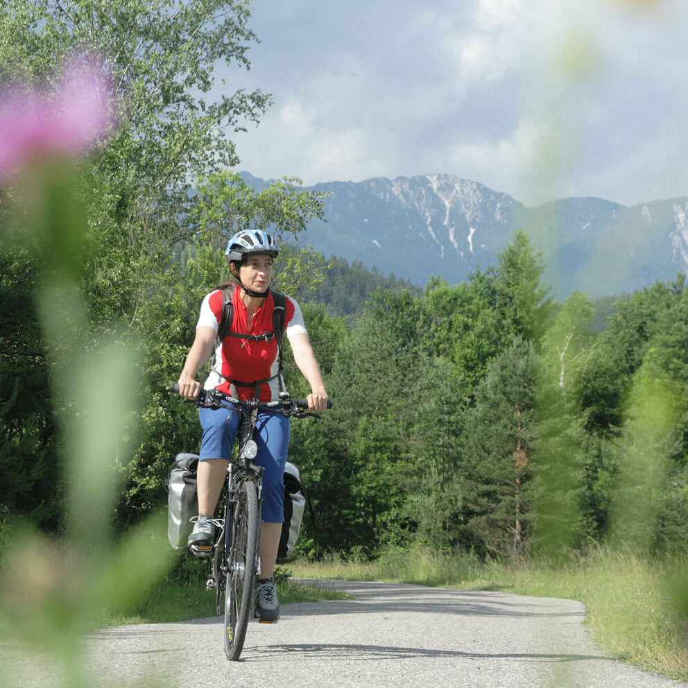 Eine Frau mit blauer Hose und rotem Shirt fährt mit ihrem Rad mit Gepäck entlang des Drauradwegs.