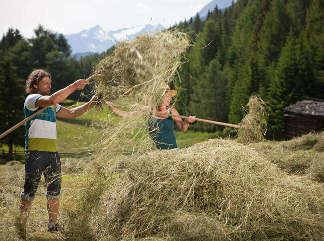 Urlaub am Bauernhof Ein Mann und eine Frau auf einer Wiese mit Heu und Heugabeln.