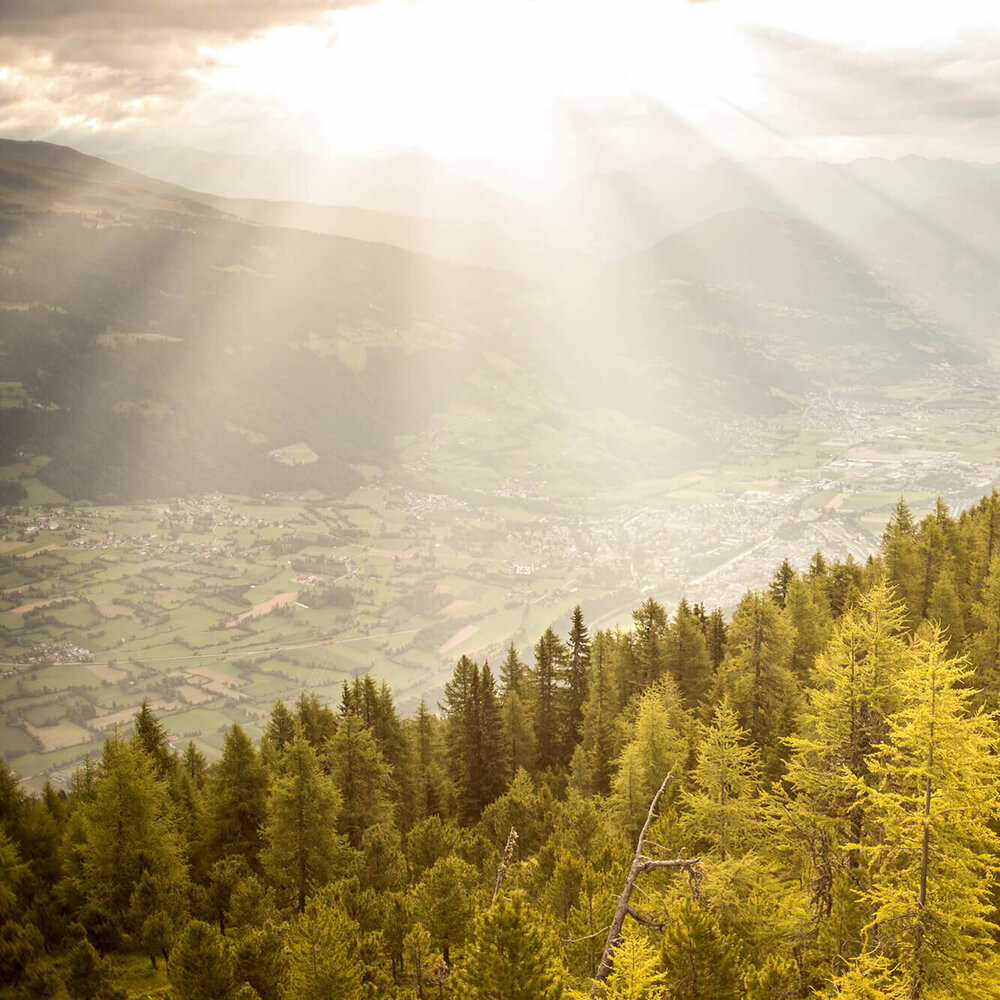 Mountainbiken Hochstein Mountainbiken Hochstein