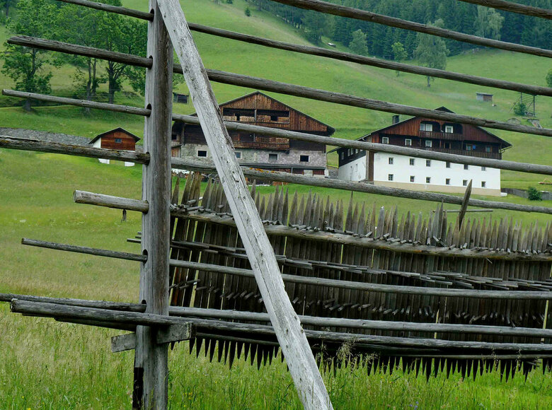 Kartitsch Harpfe im Sommer in einem Feld mit zwei Höfen im Hintergrund.