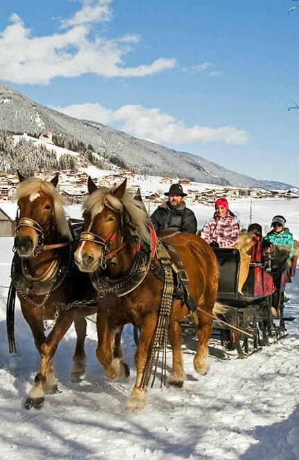 Pferdeschlittenfahrt - Strassen Winterlichte Pferdeschlittenfahrt in Strassen
