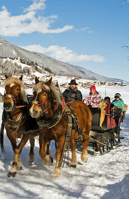 Pferdeschlittenfahrt - Strassen Winterlichte Pferdeschlittenfahrt in Strassen