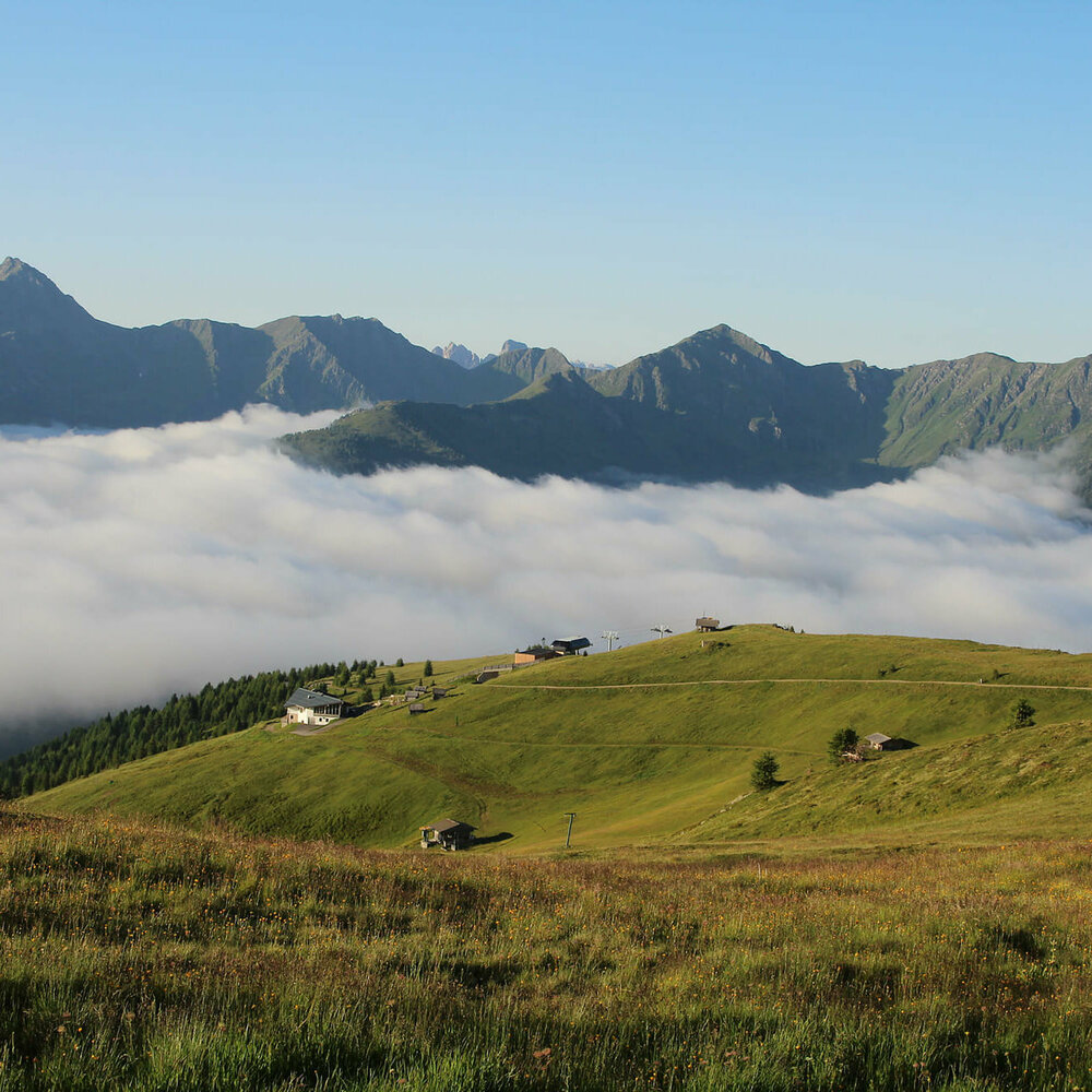 Bergbahn Golzentipp Blumenwiese mit Blick auf Wolkendecke unter der Bergbahn Golzentipp