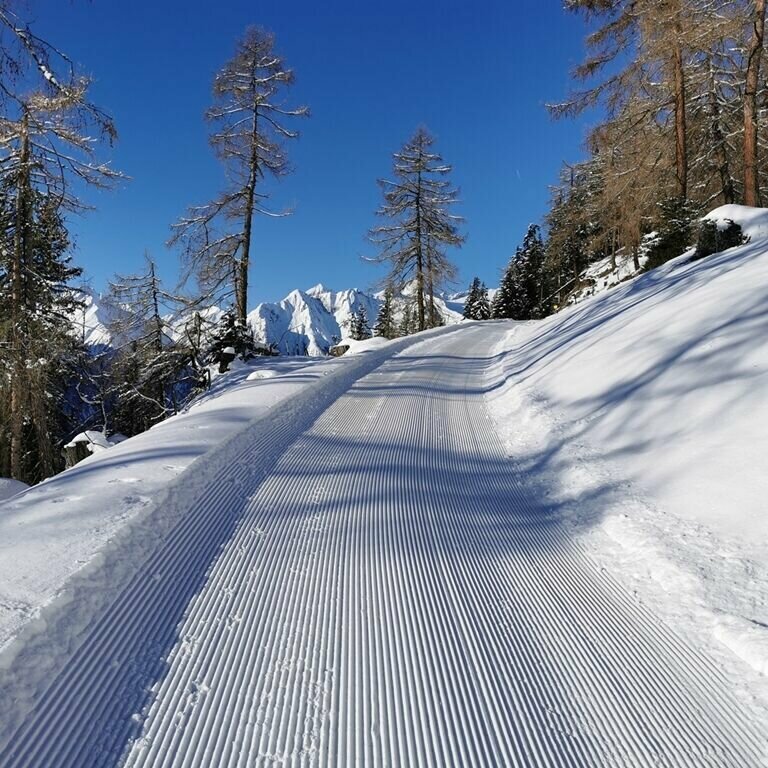 Winterwanderweg Bodenalm Ein frisch präparierter Winterwanderweg Richtung Bodenalm in Prägraten. Rechts und links stehen einige kahle Bäume und im Hintergrund ragen schneebedeckte Gipfel empor.