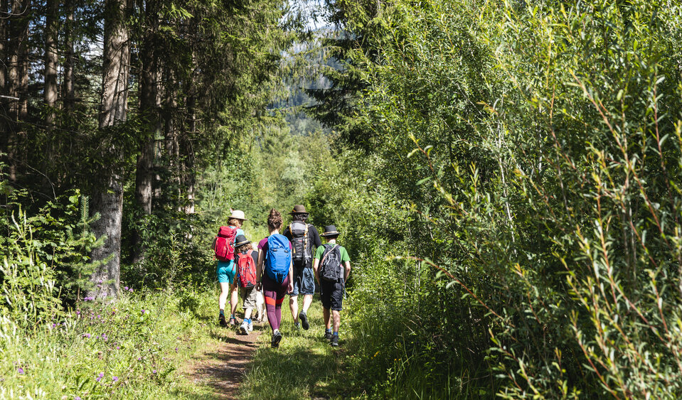 Gruppe wandert mit Rucksäcken am Iseltrail durch den Wald in St. Johann im Walde.