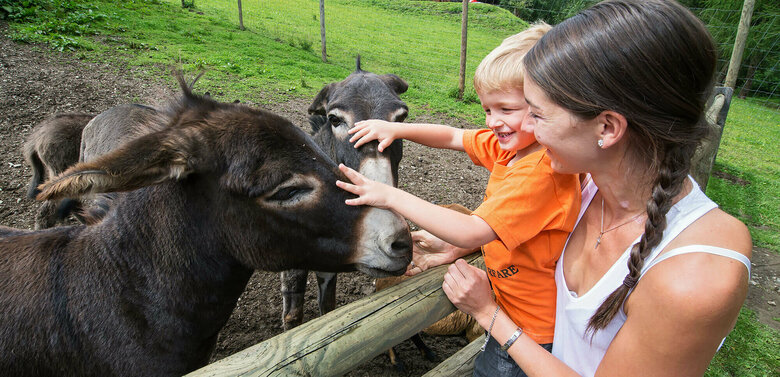 Wildpark Assling Eine Mutter mit Sohn streichelt die Esel im Wildpark Assling.