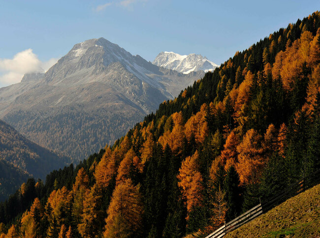 Herbstliche Stimmung im Defereggental Herbstliche Stimmung der Natur mit verfärbten Wald im Defereggental