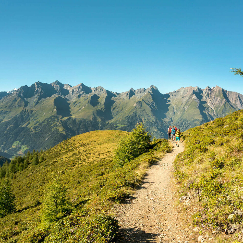 Ausblick Virgental Wandergruppe auf einem schmalen Weg mit Ausblick auf eine Bergkette im Virgental.