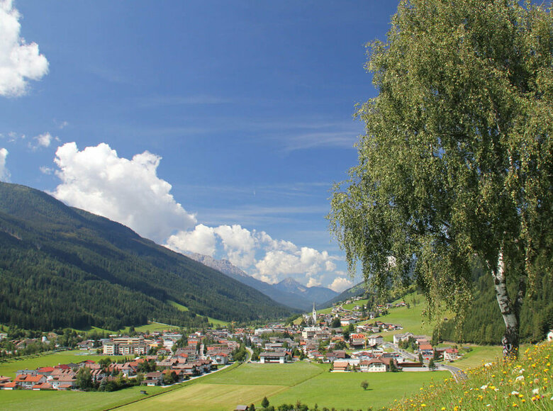 Ortsbild Sillian Sommerlicher Blick auf Sillian, eingerahmt von einer üppig blühenden Wiese; am rechten Rand ragt eine mächtige Birke empor.