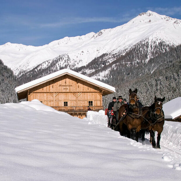 Pferdeschlittenfahrt - Ausservillgraten Winkeltal Mooshofalm Winterlichte Pferdeschlittenfahrt in Ausservillgraten - Winkeltal Mooshofalm