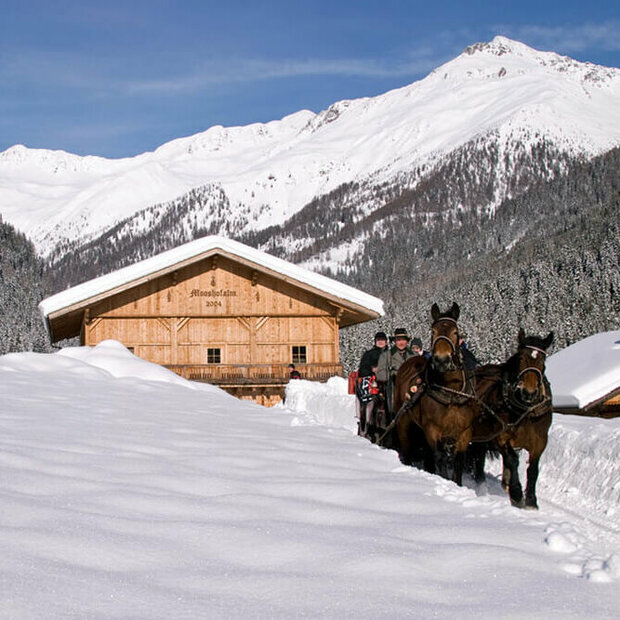 Pferdeschlittenfahrt - Ausservillgraten Winkeltal Mooshofalm Winterlichte Pferdeschlittenfahrt in Ausservillgraten - Winkeltal Mooshofalm