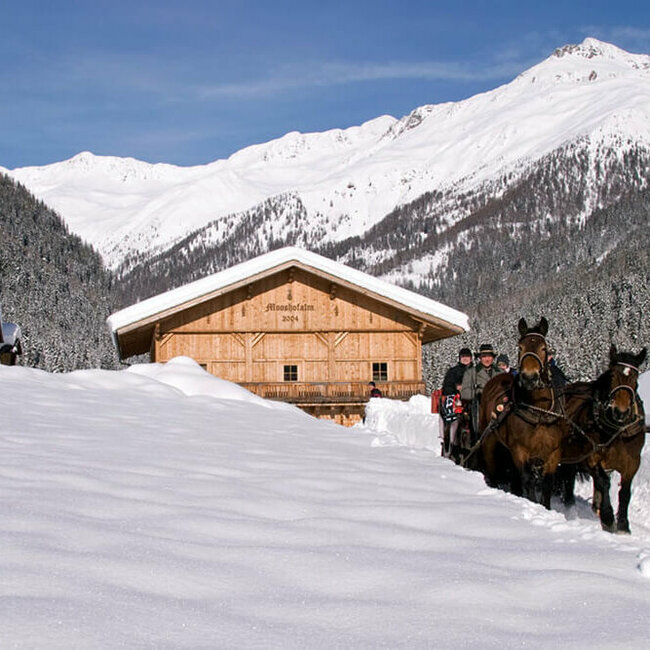 Pferdeschlittenfahrt - Ausservillgraten Winkeltal Mooshofalm Winterlichte Pferdeschlittenfahrt in Ausservillgraten - Winkeltal Mooshofalm