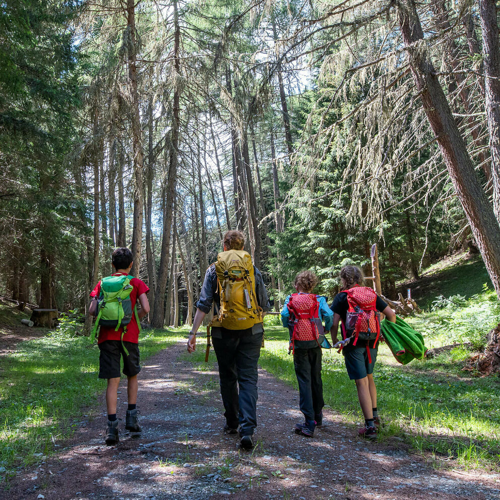 Zedlacherparadies Zedlacherparadies