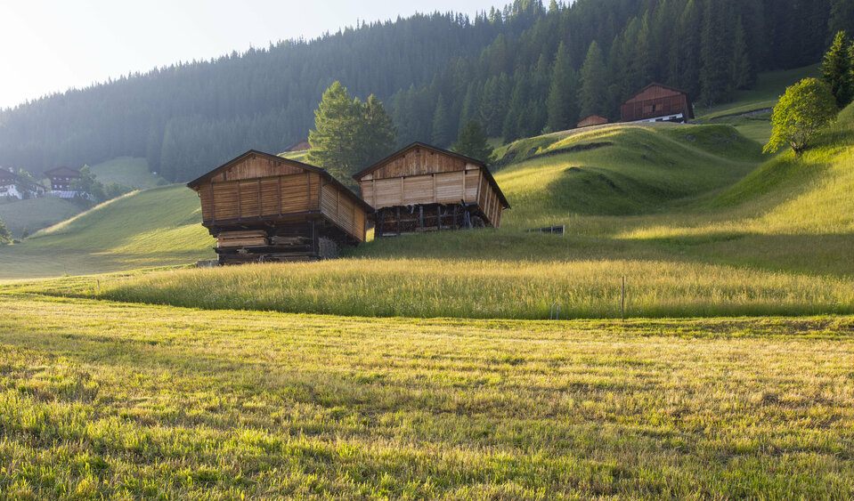 Landwirtschaft in Osttirol Landwirtschaft in Osttirol