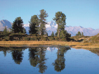 Nassfeldsee & Spitzeck Der Blick auf den Nassfeldsee am Spitzeck. Die am Ufer platzierten einzelnen Bäume spiegeln sich im klaren Wasser des Bergsees. Im Hintergrund kommt die umliegende Bergwelt durch das traumhafte Wetter sehr gut zur Geltung. Am Ufer färbt sich das Gras bereits bräunlich, diese Aufnahme wurde wahrscheinlich im Spätsommer gemacht.