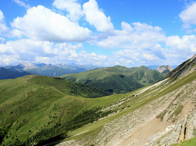 Gailtaler Höhenweg am Hals mit Blick zum Steinrastl und Golzentipp Steile, nach Süden geneigte, sonnige Schotterrinnen im Vordergrund. Im Hintergrund die sanft anmutenden, mit Grasmatten bedeckten Berge der Gailtailer Alpen an einem sonnigen Sommertag. Ein paar kleine Quellwolken zieren den Himmel.