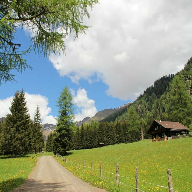 Kristeiner Tal Feldweg ins Kristeinertal inmitten einer grünen Wiese und Wäldern in der Umgebung