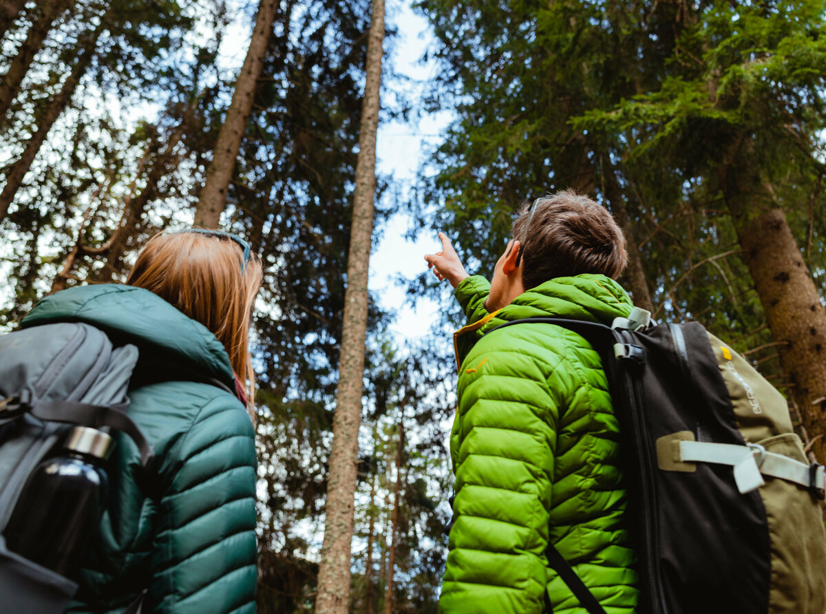Spazieren im Wald Osttirol Zwei Personen spazieren im Wald durch Osttirol
