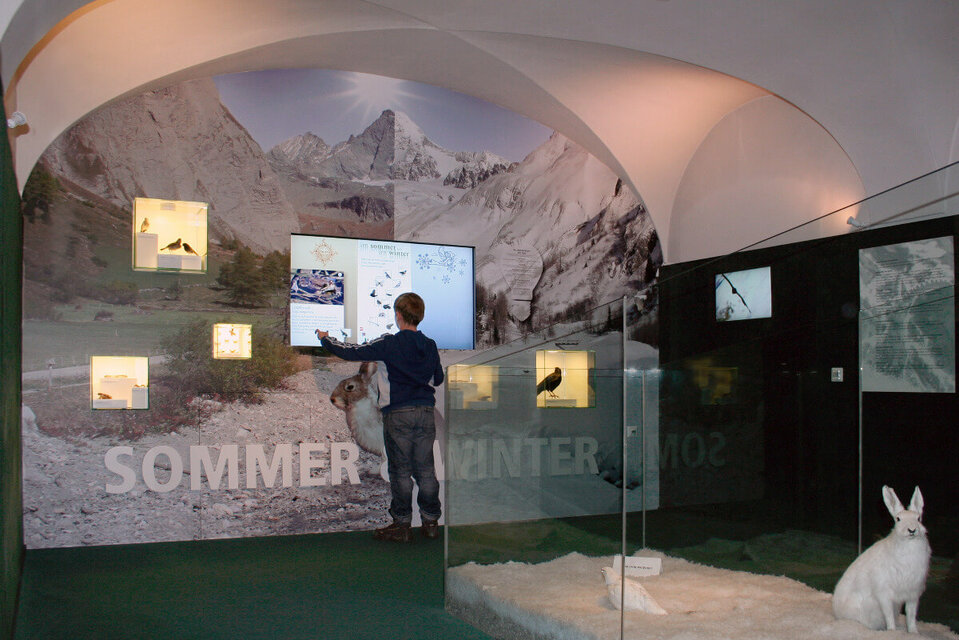 Nationalpark Ausstellung Ein Bub steht neugierig im interaktiven Bereich des Nationalparkhauses in Matrei und interagiert mit den Ausstellungsobjekten.
