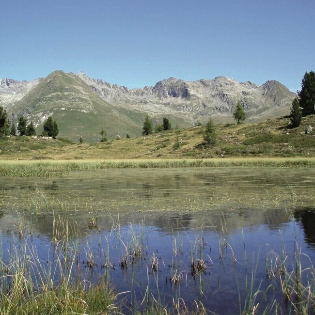 Hirschbichl Blick auf den Bergsee "Plancklacke" am Hirschbichl in St. Jakob i. D..