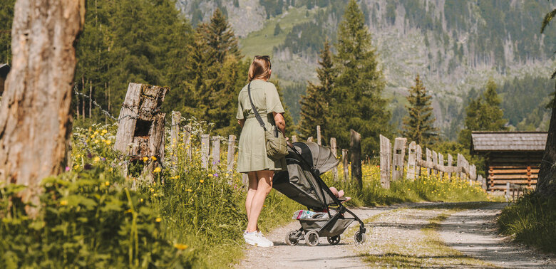 Spazieren mit Kinderwagen Spazieren mit Kinderwagen