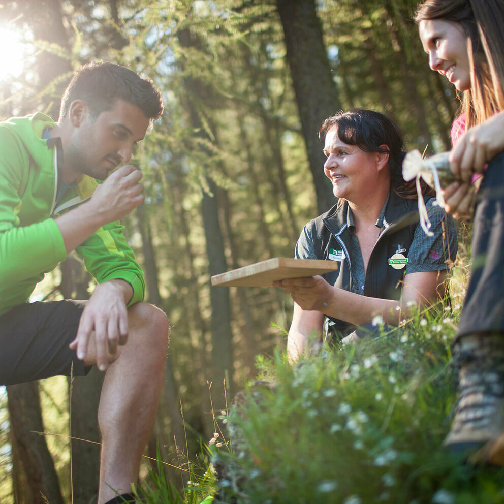 Geheime Welt der Kräuter Geheime Welt der Kräuter