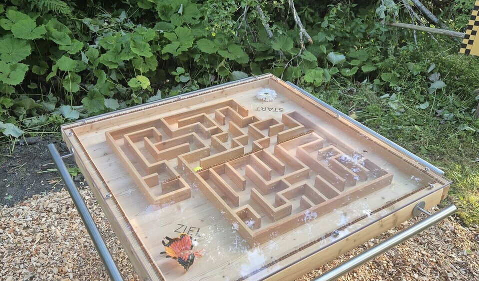 Mithilfe der Schwerkraft wird der Weg für die Kugel aus dem Labyrinth gesucht.