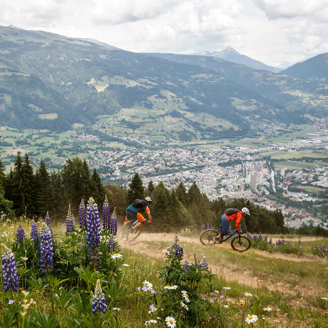 Peter Sagan Trail Zwei Mountainbiker auf dem schmalen Peter Sagan Trail im Bikepark Lienz, mit Blick auf die Stadt. Im Vordergrund blühen einige lilafarbene Blumen.