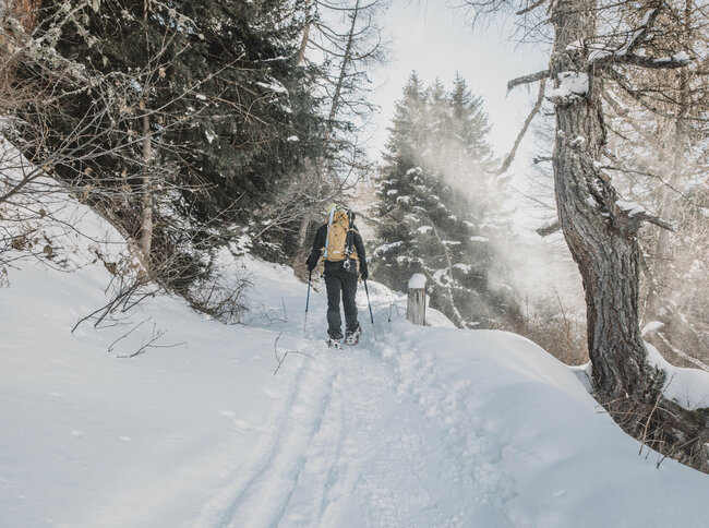 Winterwandern-Osttirol Ein Schneeschuwanderer mit gelbem Rucksack steigt durch einen verschneiten Wald in Osttirol.