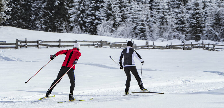 Dolomiti Nordic Ski Zwei Langläufer auf der Loipe inmitten der Natur mit einem vom Schnee angezuckerten Wald im Hintergrund.