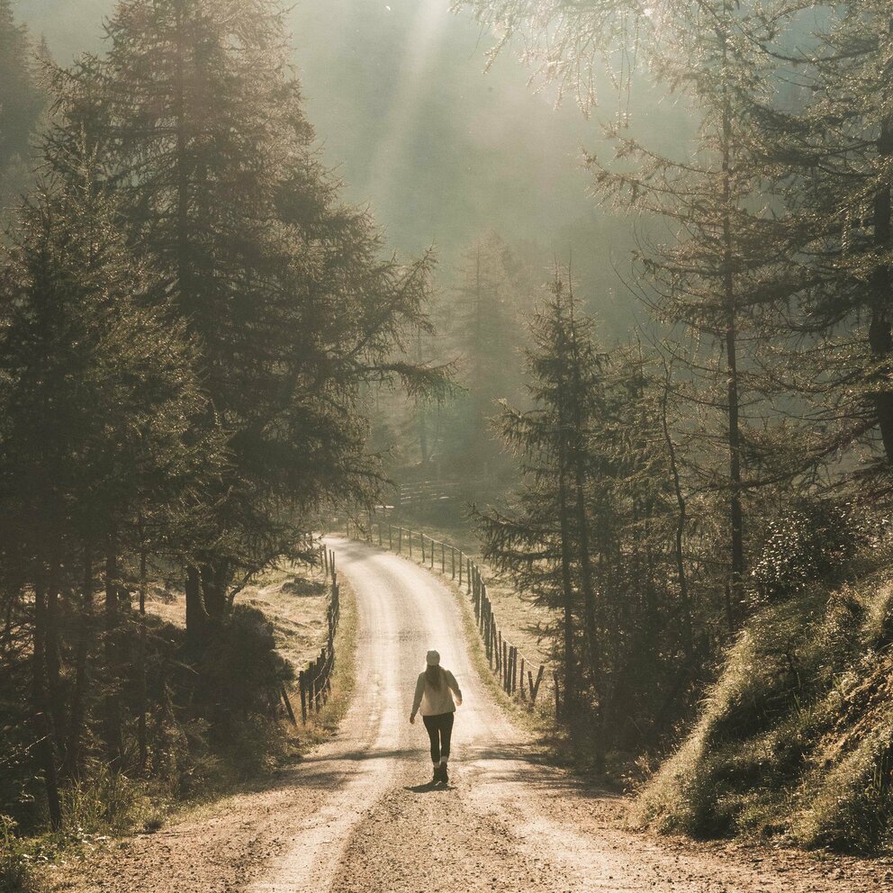 Wander im Gschlösstal Wander im Gschlösstal